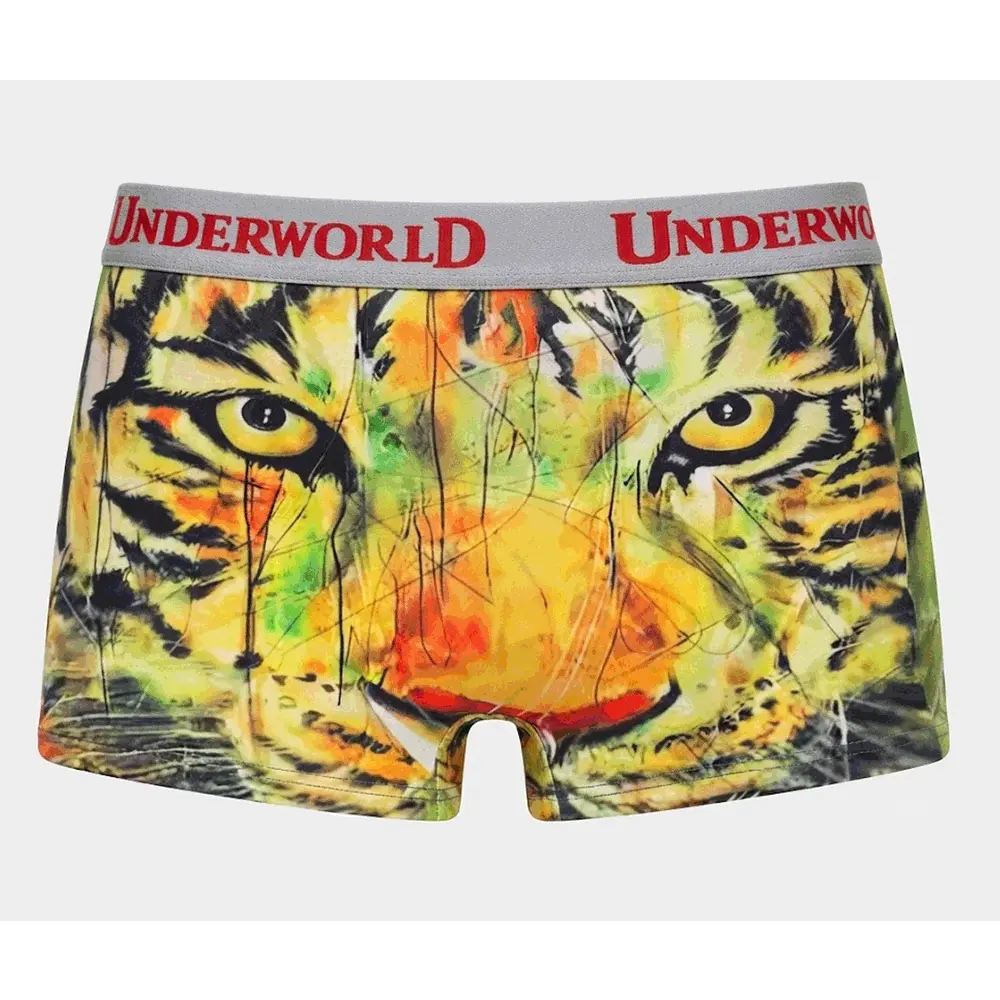 Pasha-Bhai-Tiger-Boxer.webp