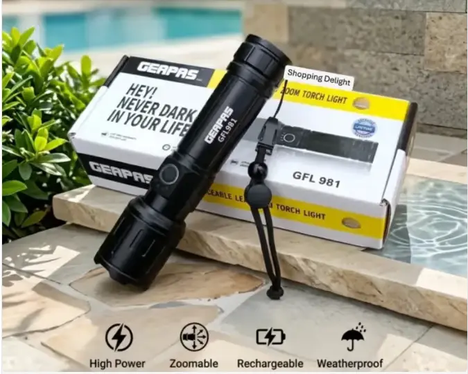 GEEPAS Torch LIGHT  GFL-981