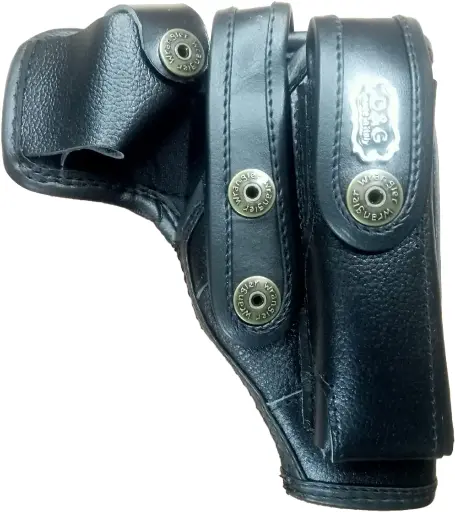 হলস্টার 9