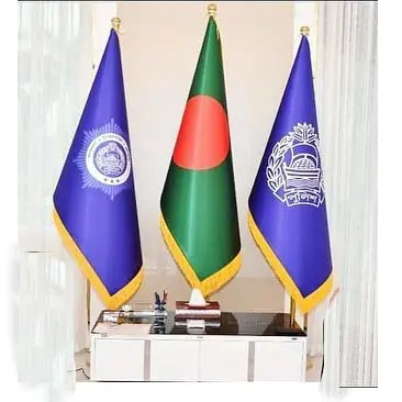 Digital Flag
