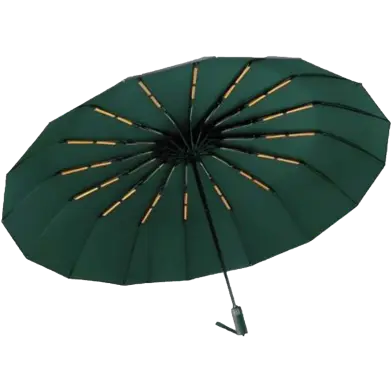 BMW Auto Open And Auto Close Umbrella 10 Ribs
