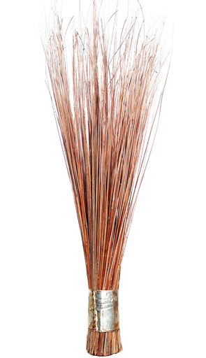 Coconut Broom